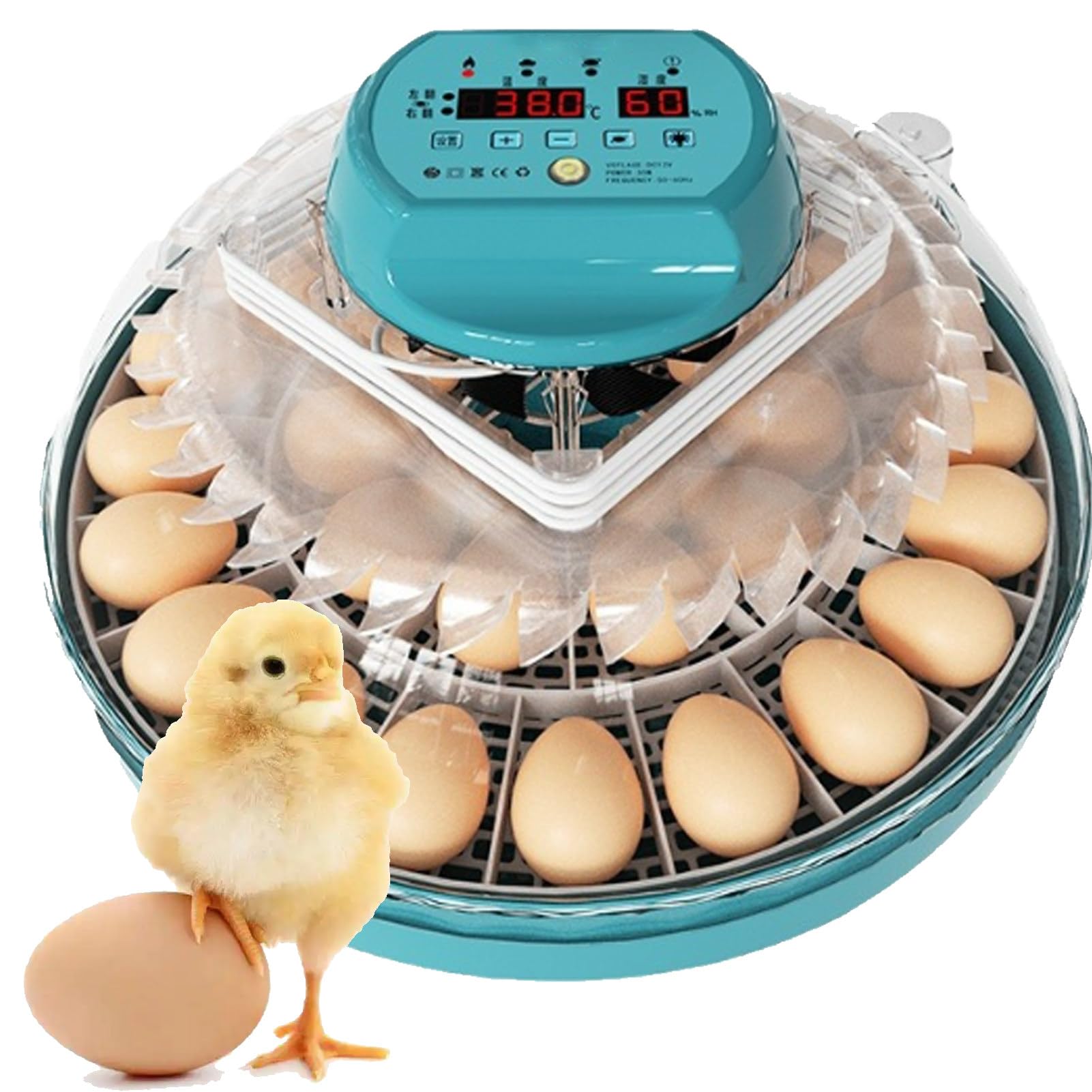Incubadora automática de huevos con volteador y control de temperatura, apta para 15 o 30 huevos, ideal para uso doméstico en granjas