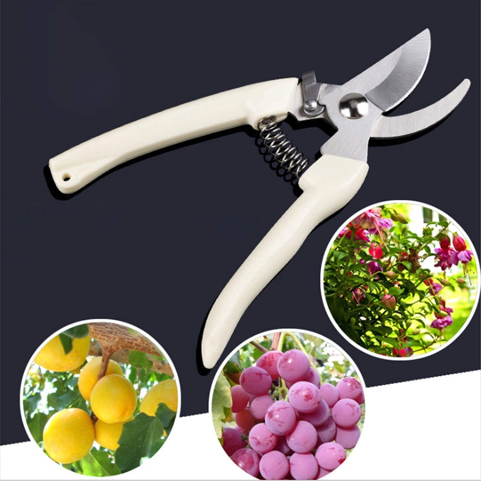 Forbici da Giardinaggio in Acciaio Inossidabile Attrezzi per innesto Cesoie per potatura Alberi Cesoie per potatura Bonsai Cesoie per potatura da Giardinaggio (Dritto)