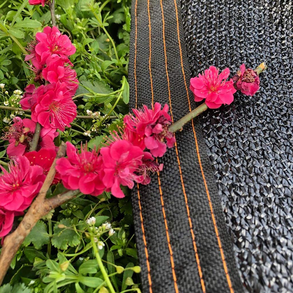 Nologo Toldo Impermeable 90% UV Bloque Protector Solar Canopy for Patio al Aire Libre del césped del jardín Pergola Plataforma de protección Solar Neto for el Invernadero, Todos los tamaños