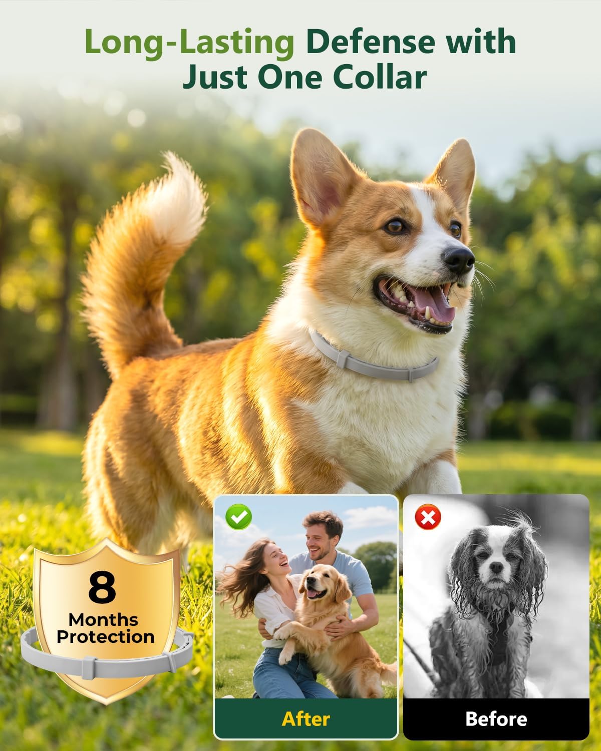 4 Pack Flea & Tick Collar for Small Dogs Under 18 lbs, Adjustable Puppy Collar with Natural Essential Oils, Waterproof Long Lasting Dog Collar for Indoor & Outdoor Use