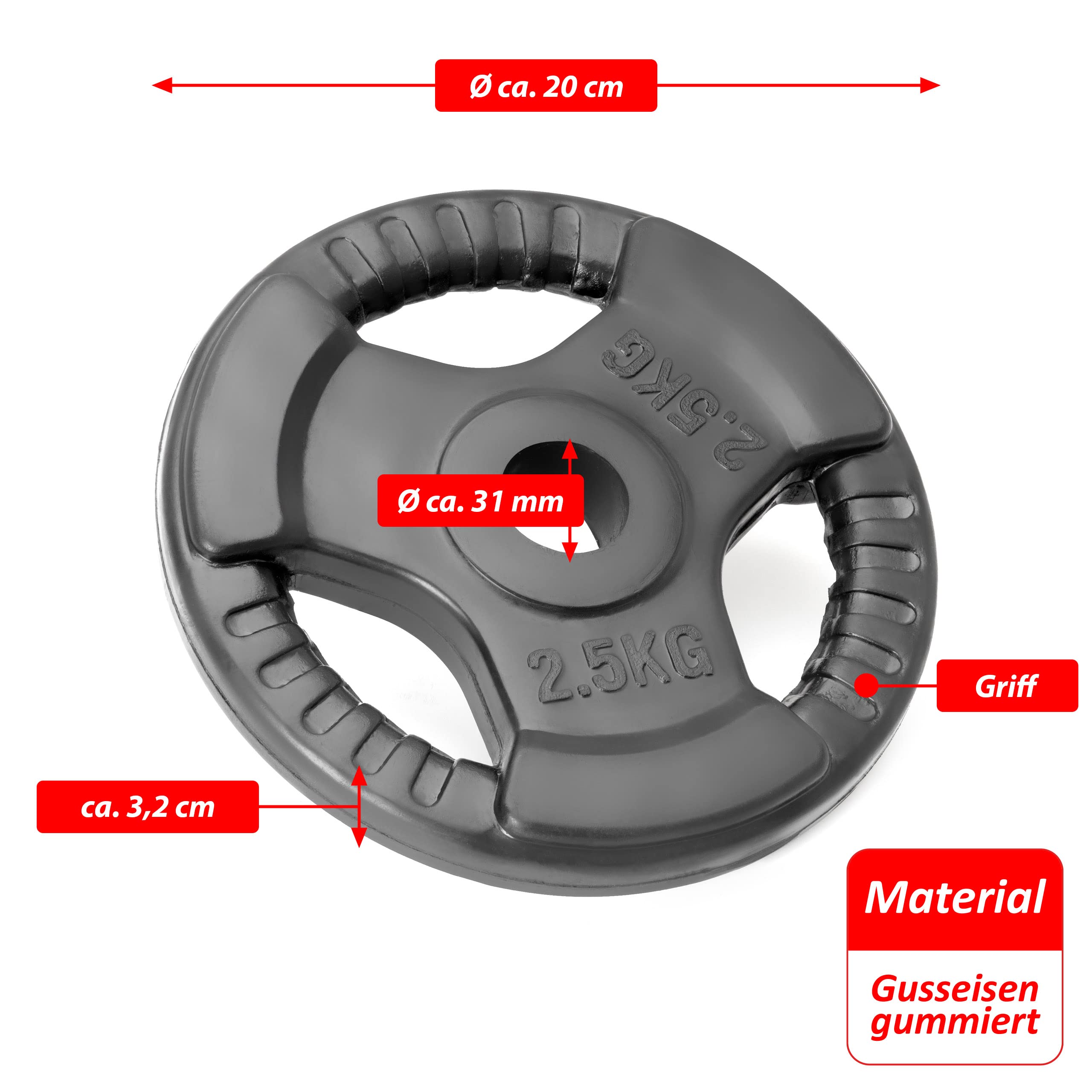 Hantelscheiben 2er Set Gewichtsplatte je 2,5 kg Gusseisen Gripper Gummi schwarz 5 kg Fitness Krafttraining Bodybuilding Workout Gewichtheben Reha