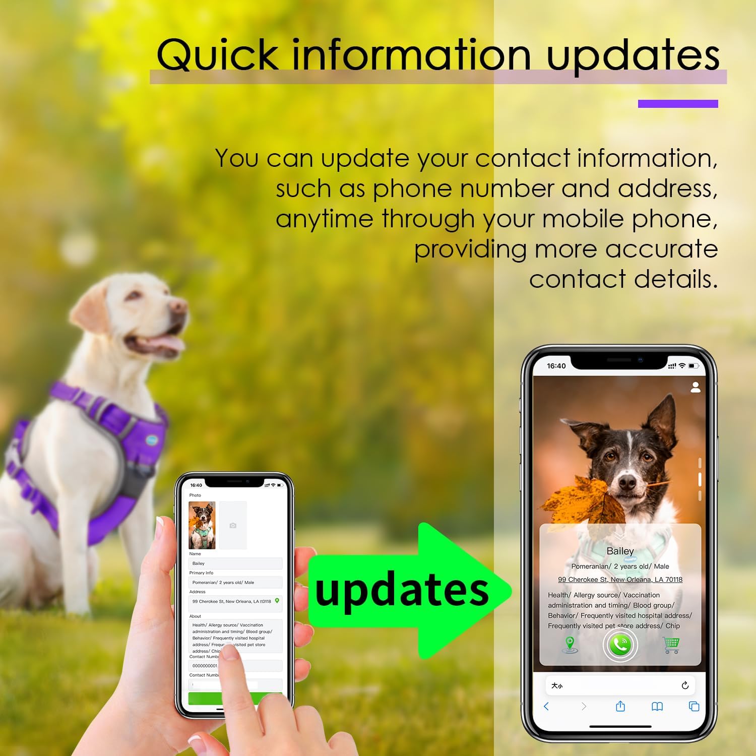 ThinkPet No Pull Harness Breathable Sport Harness with QR Code Dog Tag Reflective Dog Harnesses Smart ID Tagwith Handle Adjustable for Medium Large Dogs Back/Front Clip for Easy Control M Purple