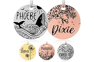 MYXGY Stainless Steel Customized Cat Tag