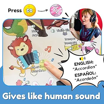 語学・辞書・学習参考書 gardenpink Amazon.com: ZEENKIND
