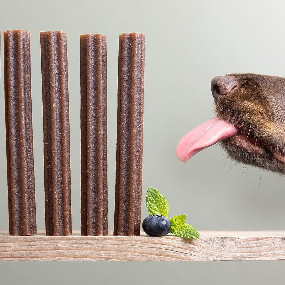 Arden Grange Bâtonnets dentaires à la menthe et aux superaliments 8 x 180 g – Sans céréales à mâcher avec huile de menthe, antioxydants et minéraux réduisant le tartre – Naturellement hypoallergénique
