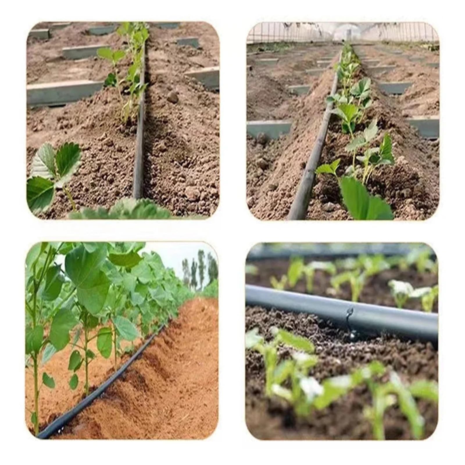 De microirrigación de 16 mm con dos orificios, cinta de goteo, espacio entre 10 y 50 cm, 0,2 mm de grosor, for riego de invernaderos y granjas.(Space 20cm,50m)