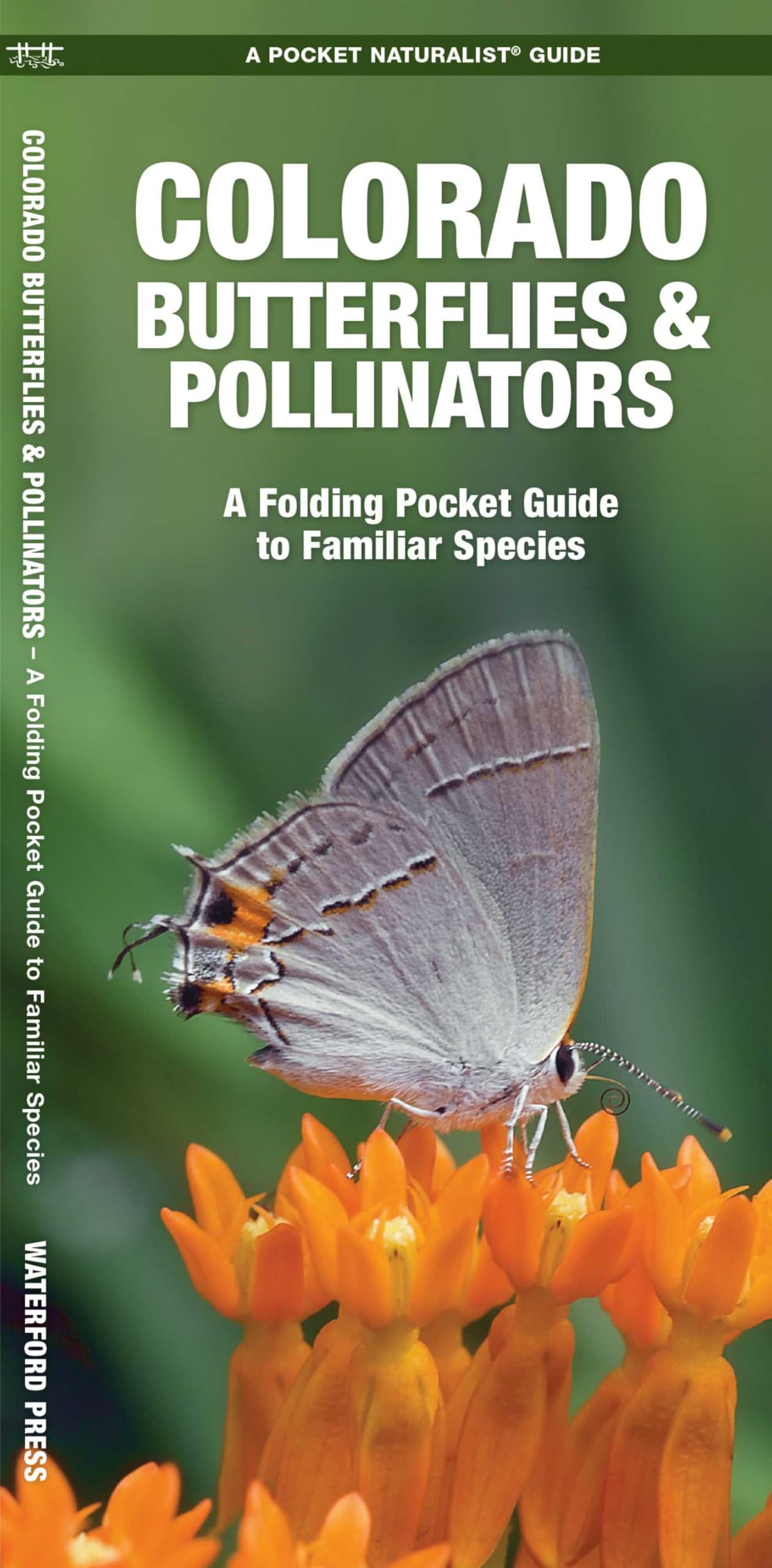 Colorado Butterflies & Pollinators: A Folding Pocket Guide to Familiar Species (Wildlife and Nature Identification) (Nature Observation North America)