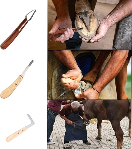 Miniatura 3 de Farrier Tools - Cortadores de pezuñas de caballo, kit de 64 piezas de recortadores de pezuñas de cabra de 8 pulgadas, pinzas de escobilla de