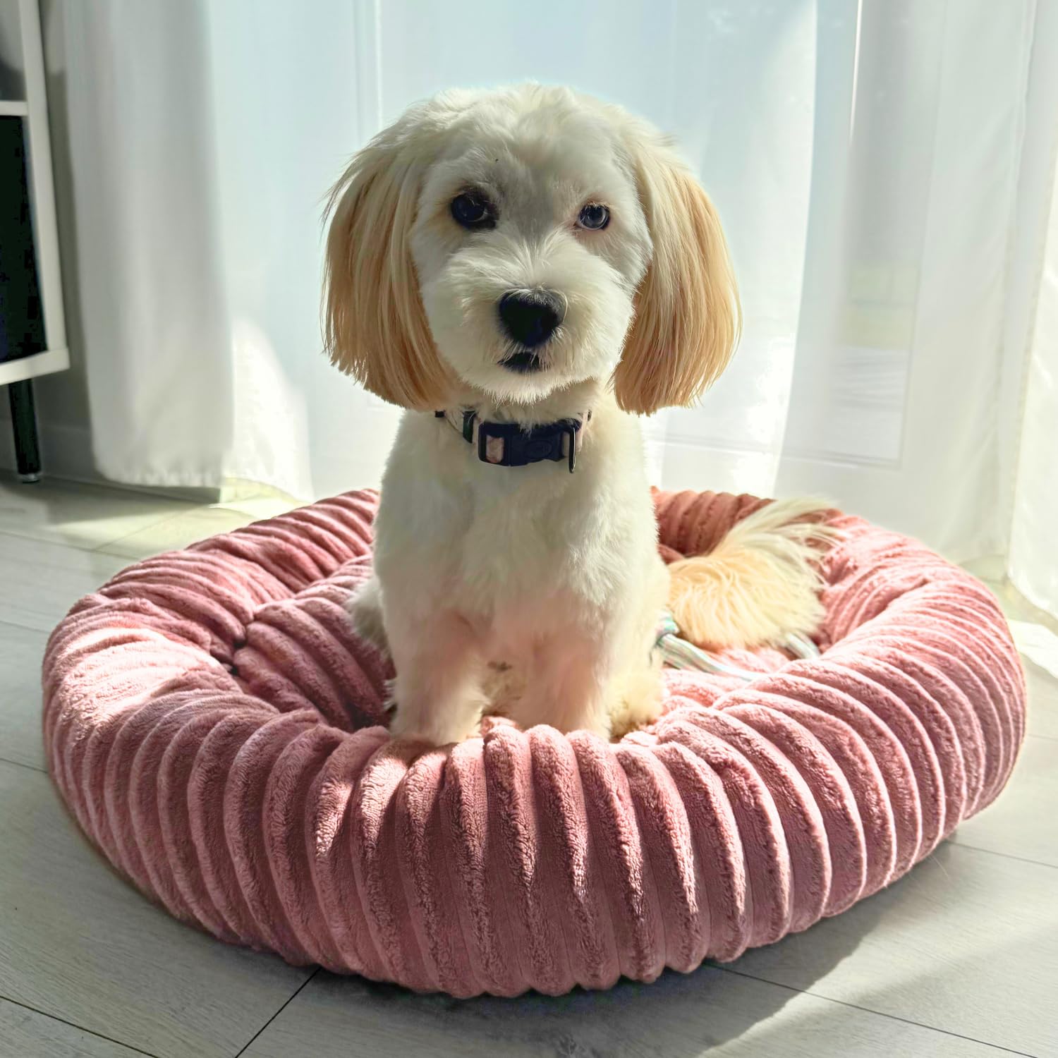 4L Textil Luna Lit pour chien douillet pour chiens de taille moyenne Corbeille pour chats peluche Panier pour chien pour chiens de taille moyenne Lit pour chien pour chiots Coussin pour chien Lit pour