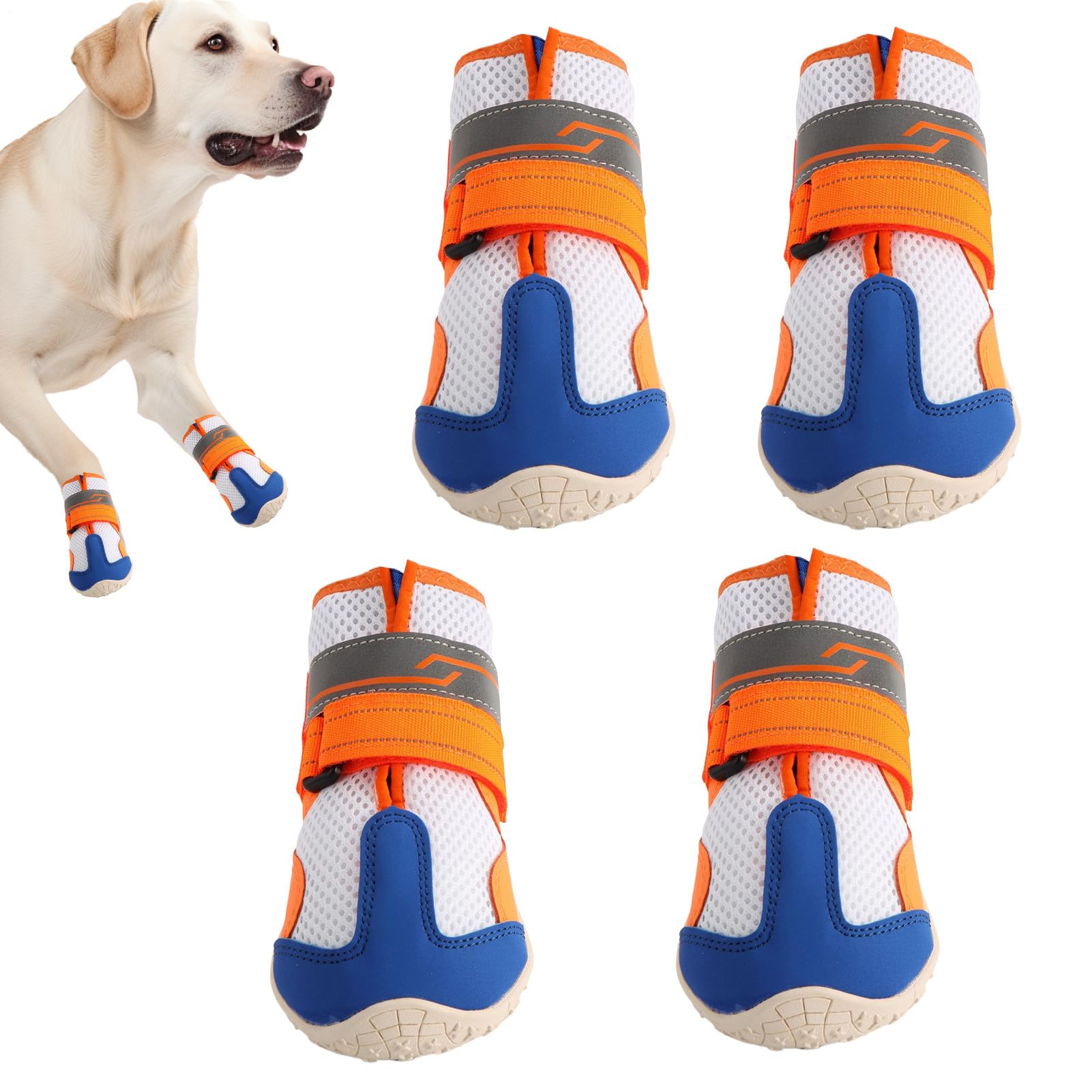 Chaussures pour chien teckel bouledogue respirantes réglables pour la neige et pluie