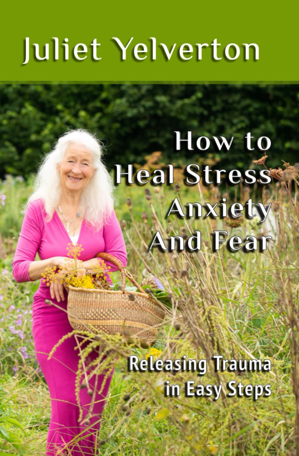 How to Heal Stress, Anxiety and Fear.: Releasing Trauma in Easy Steps.