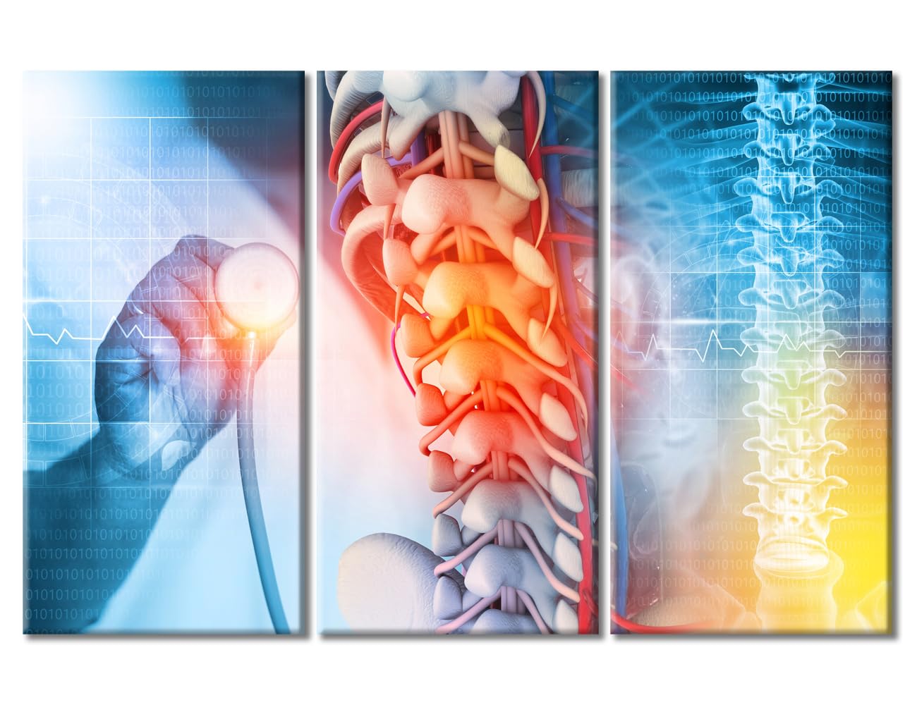 Posters & Prints 3 Panels Young Scientist Paintings Wall Art Doctor Check and Diagnose the Human Spine Art Prints Framed Wall Art Giclee Wooden Framed Gallery-Wrapped Ready to Hang (42" Wx28 H)