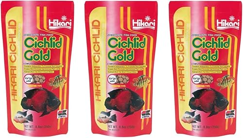 3 unidades Hikari Cíclidos oro flotante pellets grandes 88 onzas 3 unidades Hikari Cíclidos oro flotante pellets grandes 88 onzas