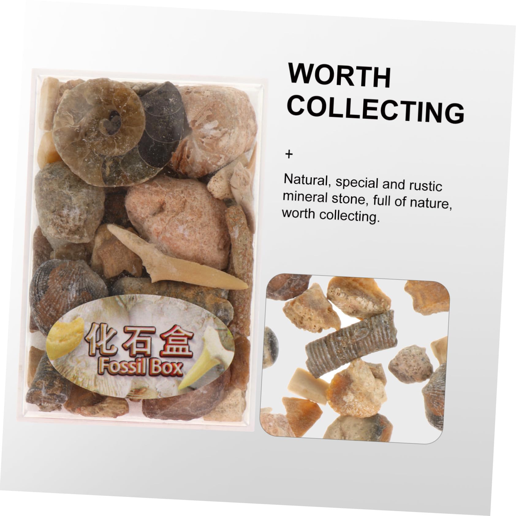 ORFOFE 1 Box Ore Specimen Minerals Specimens Rock Collection Gemstones Ore Stones Rock Display Case Natural Ore Mineral Stone Specimens Natural Stone Collection Hybrid