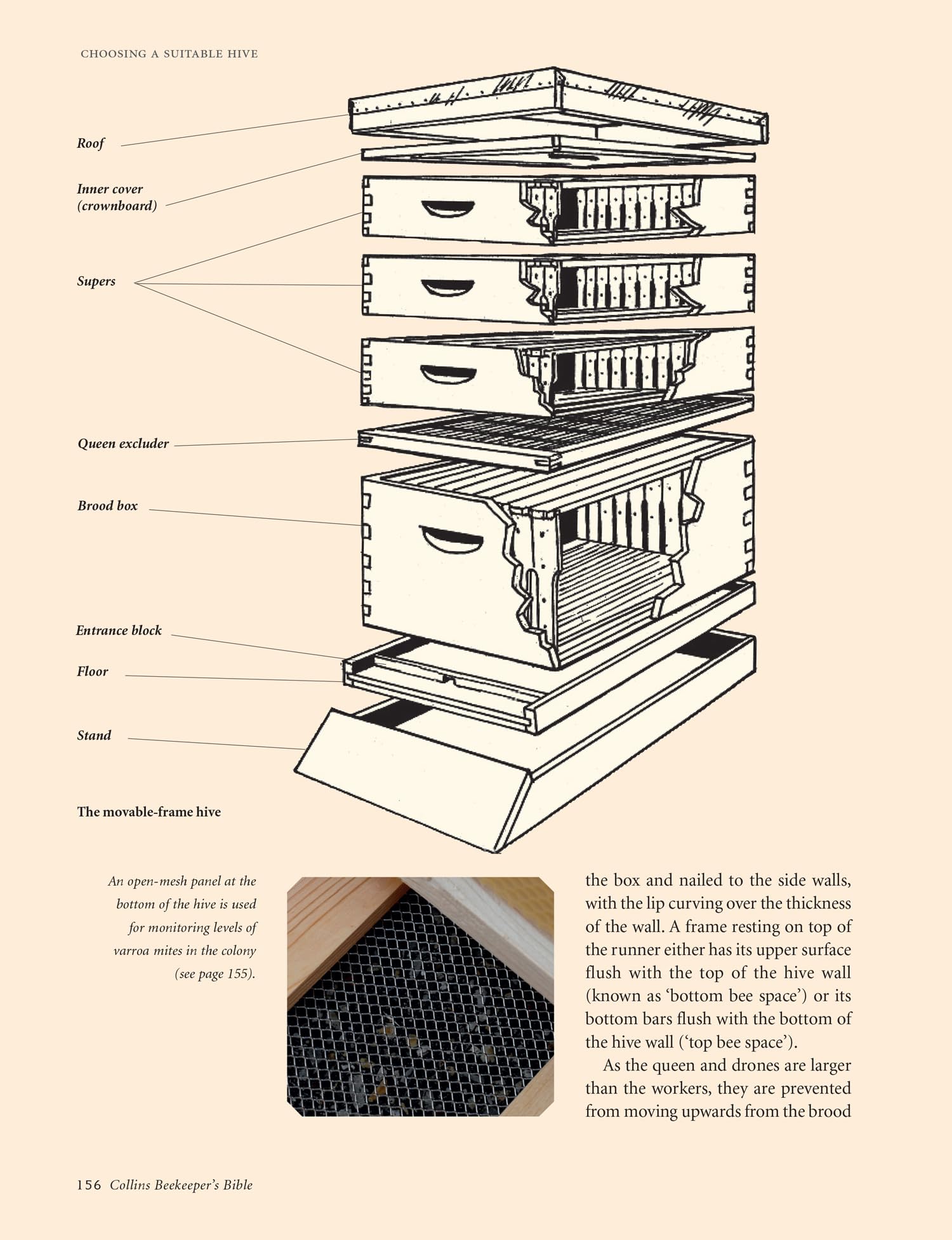 Collins Beekeeper’s Bible: Bees, honey, recipes and other home uses