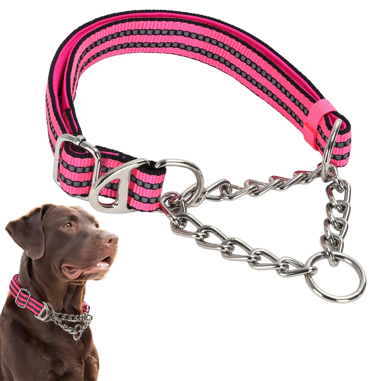 Martingale Collar for Dogs Reflective Nylon Dog Chain Collars Adjustable Heavy Duty Martingale Collar for Training Medium Large Breed Dogs