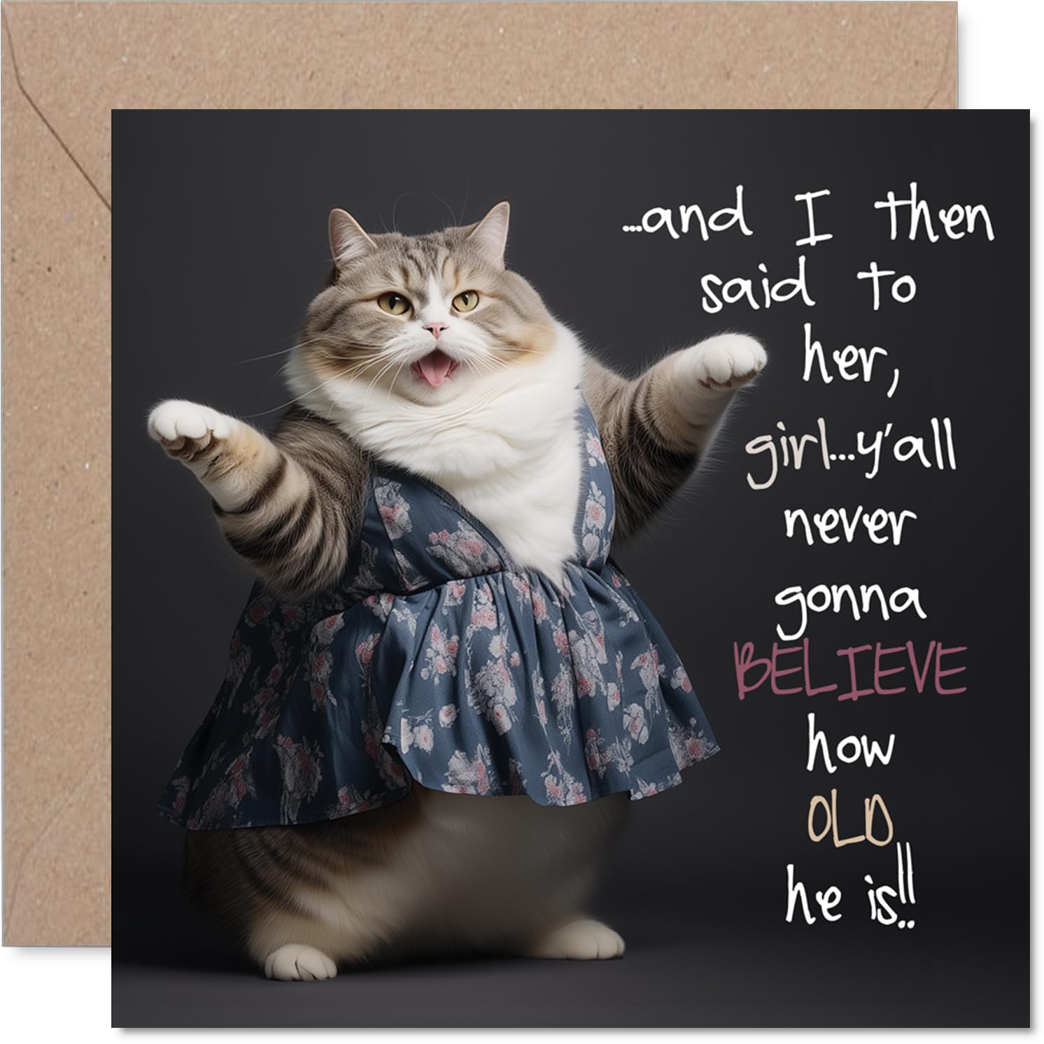 Sassy Cat Birthday Card for Men Women - Yall Never - Happy Birthday Card for Grandad Cousin Neighbour Wife, 145mm Bday Greeting Cards
