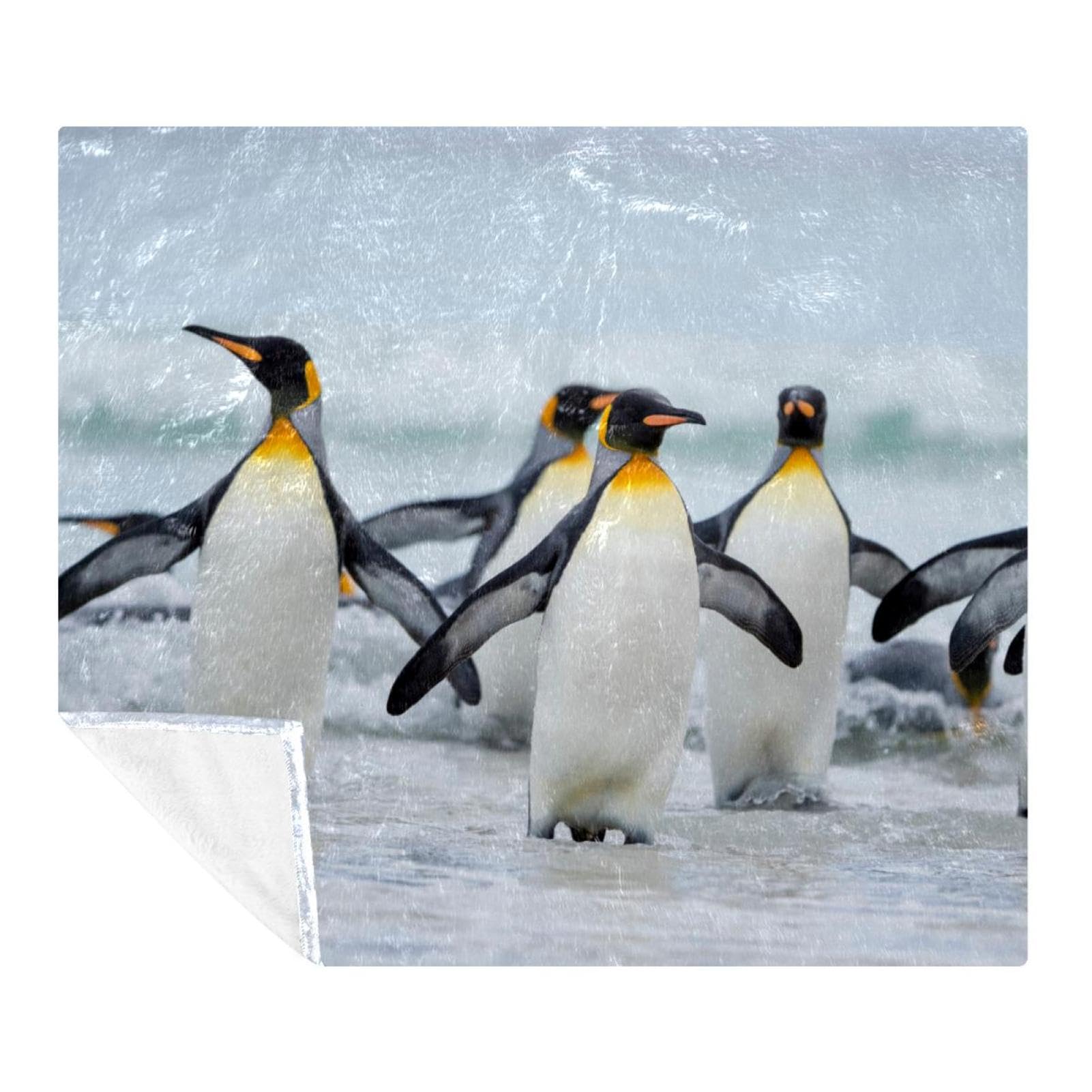 Couverture pingouin réconfortante pour partager des instants de tendresse uniques