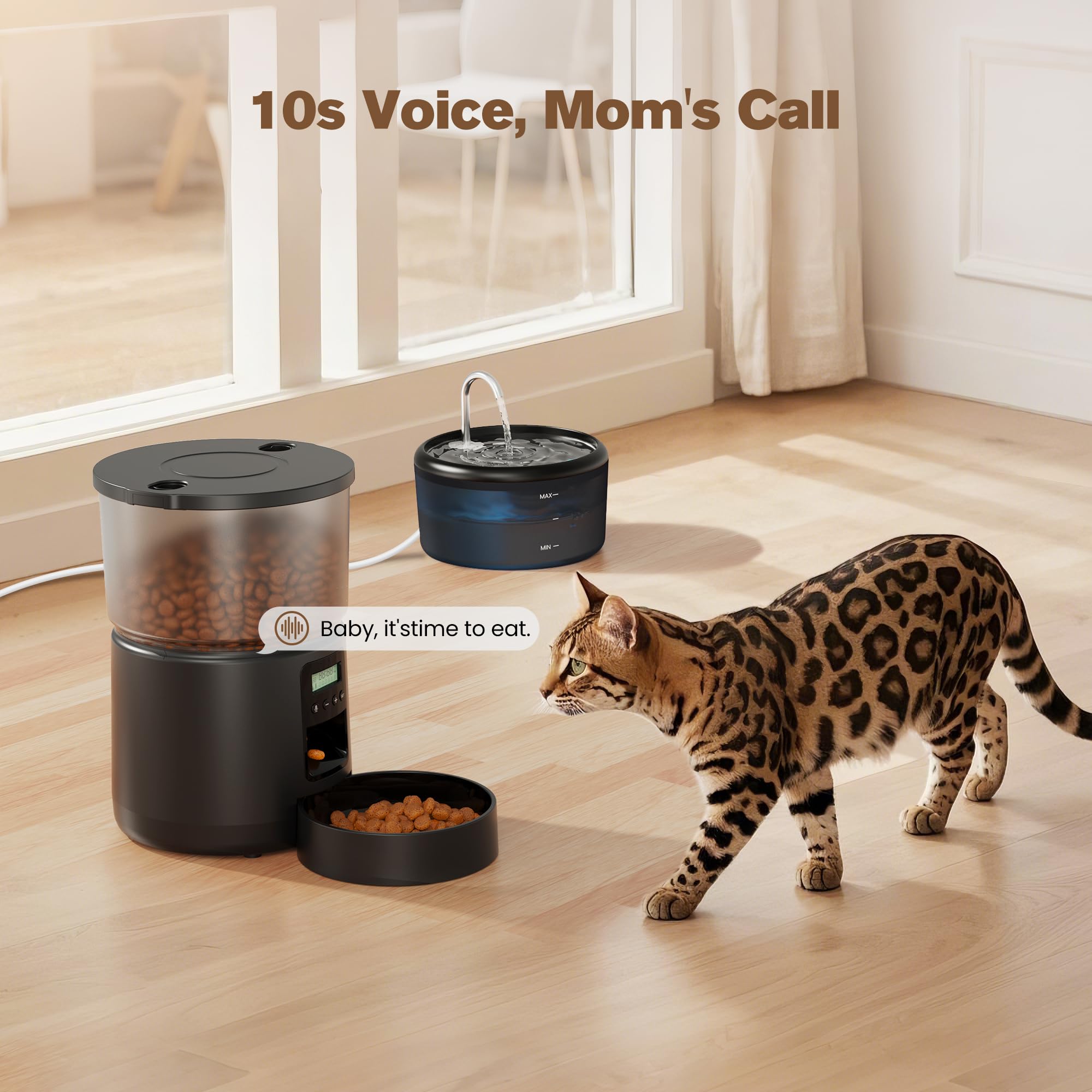 Distributore Automatico Cibo Gatti e Fontanella: Dispenser Cibo Gatto e Fontanella per Gatti - Mangiatoia Cani Timer Programmabile 1-6 Pasti - 3L Dosatore Crocchette e 2.4L Fontana Acqua Gatto 2 in 1