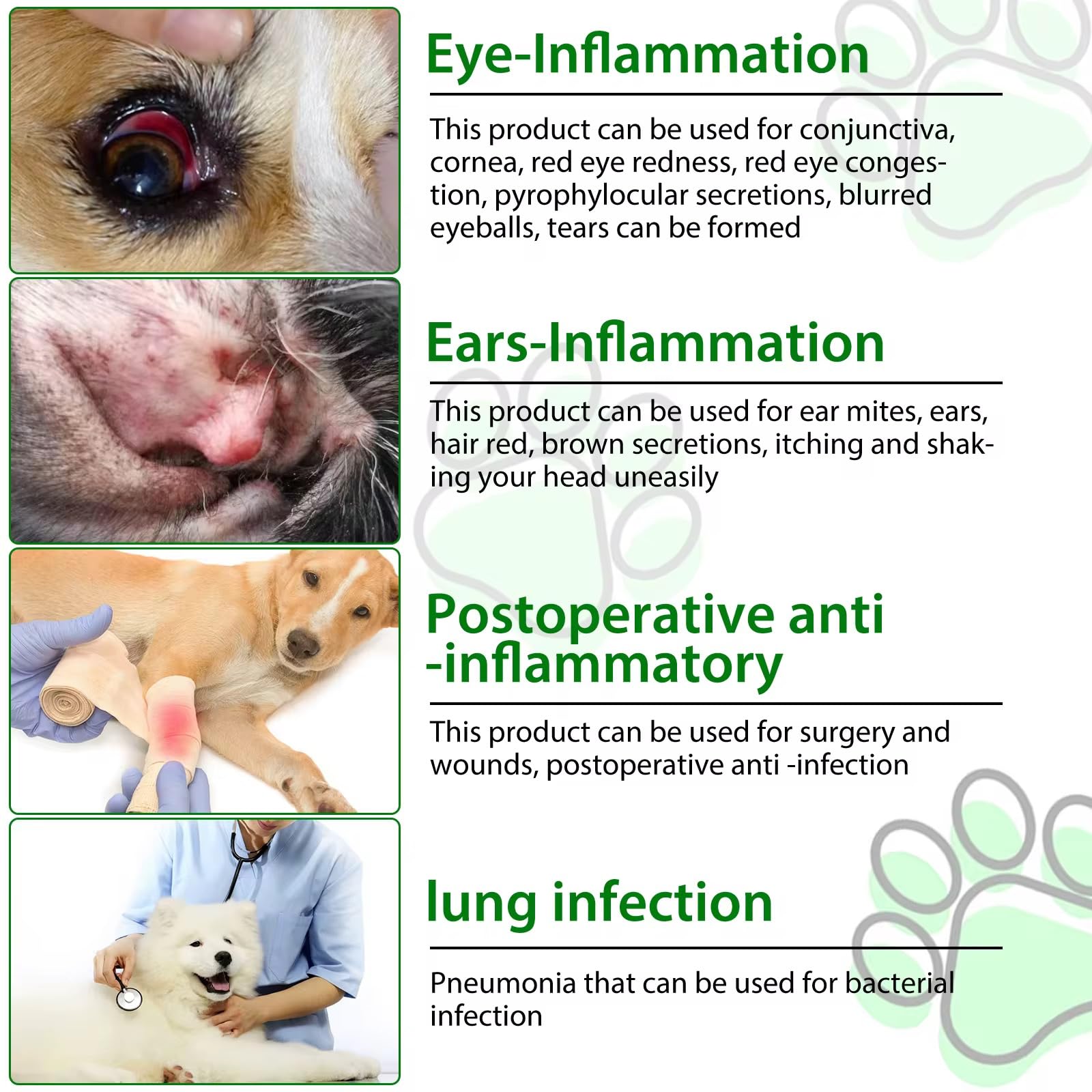 Dogs Antibiotics, Natural Antibiotics for Dogs Supports Immune Health, Itch Relief, Anti inflammatory, Kennel Cough - Image 3