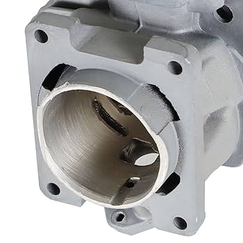 Amazon.com: raseparter 44.7MM Cylinder Piston Kit