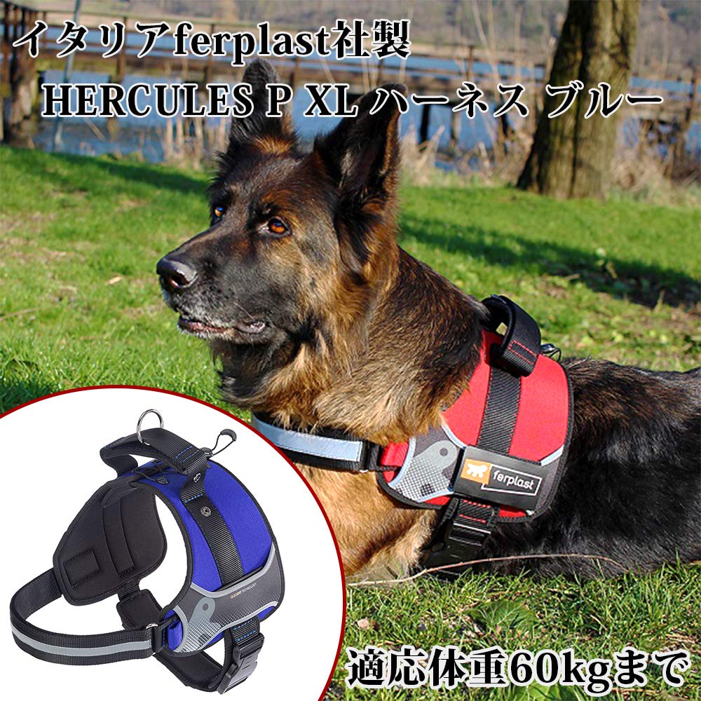 Ferplast Pettorina per Cani HERCULES EXTRA LARGE, Imbottita, Resistente, Antigraffio, Riflettente, con Maniglia