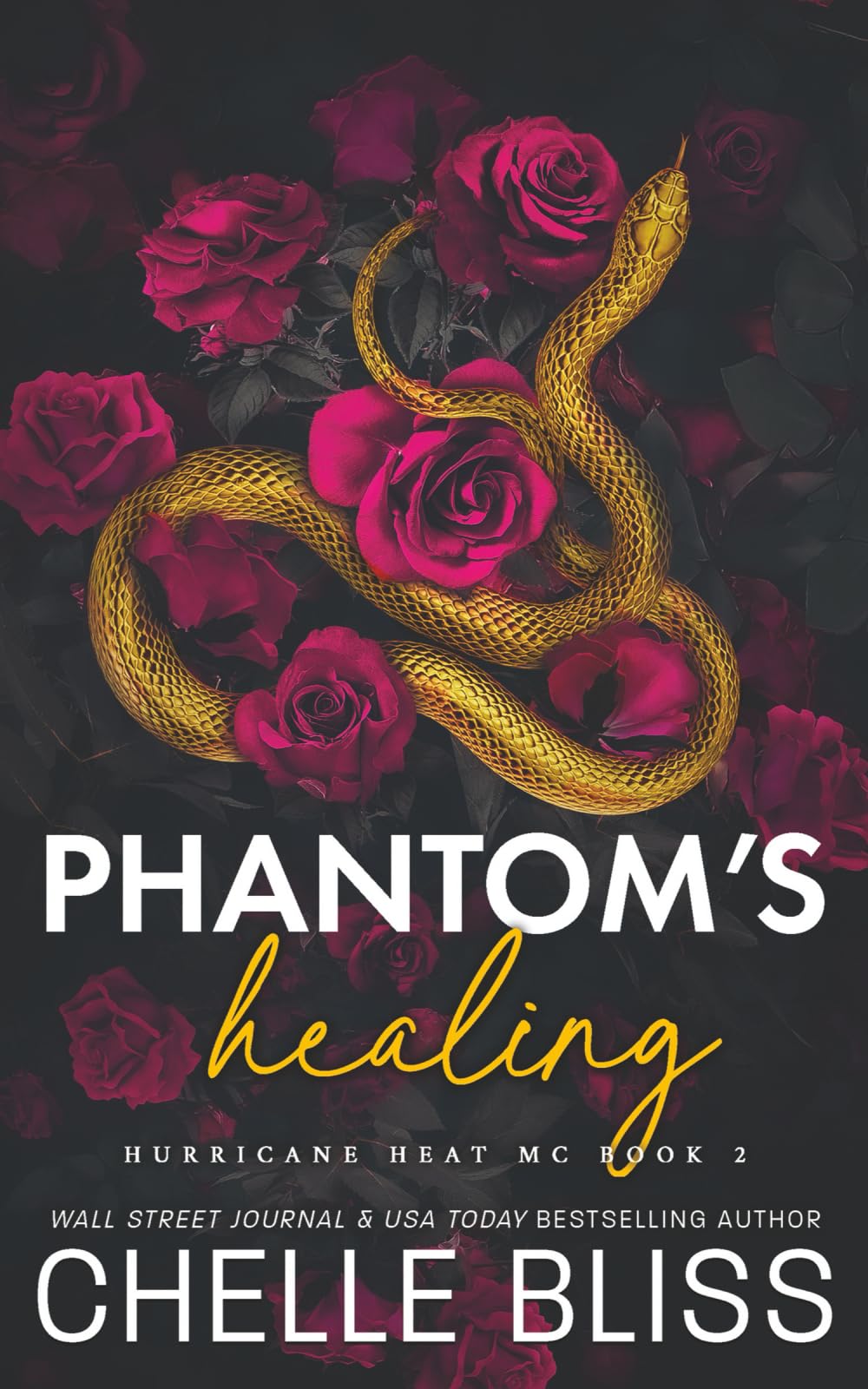 Phantom's Healing: Discreet Edition: 2 (Hurricane Heat MC)