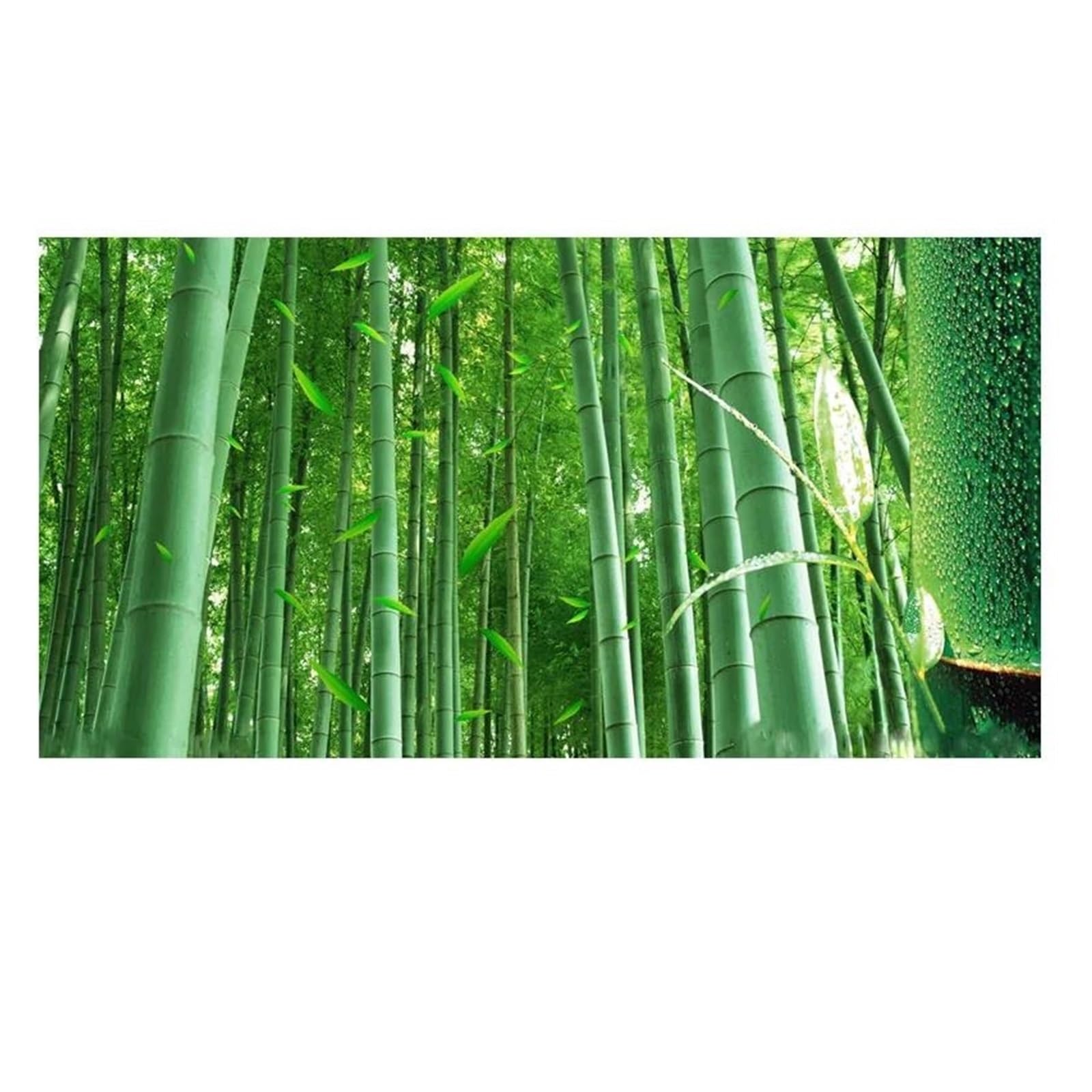 BYAMBD Aesthetic Pictures Nature Landscape Posters No Frame Forest Sunshine Prints Canvas Painting Wall Art Picture For Living Room Decoration(I,30x40cm)