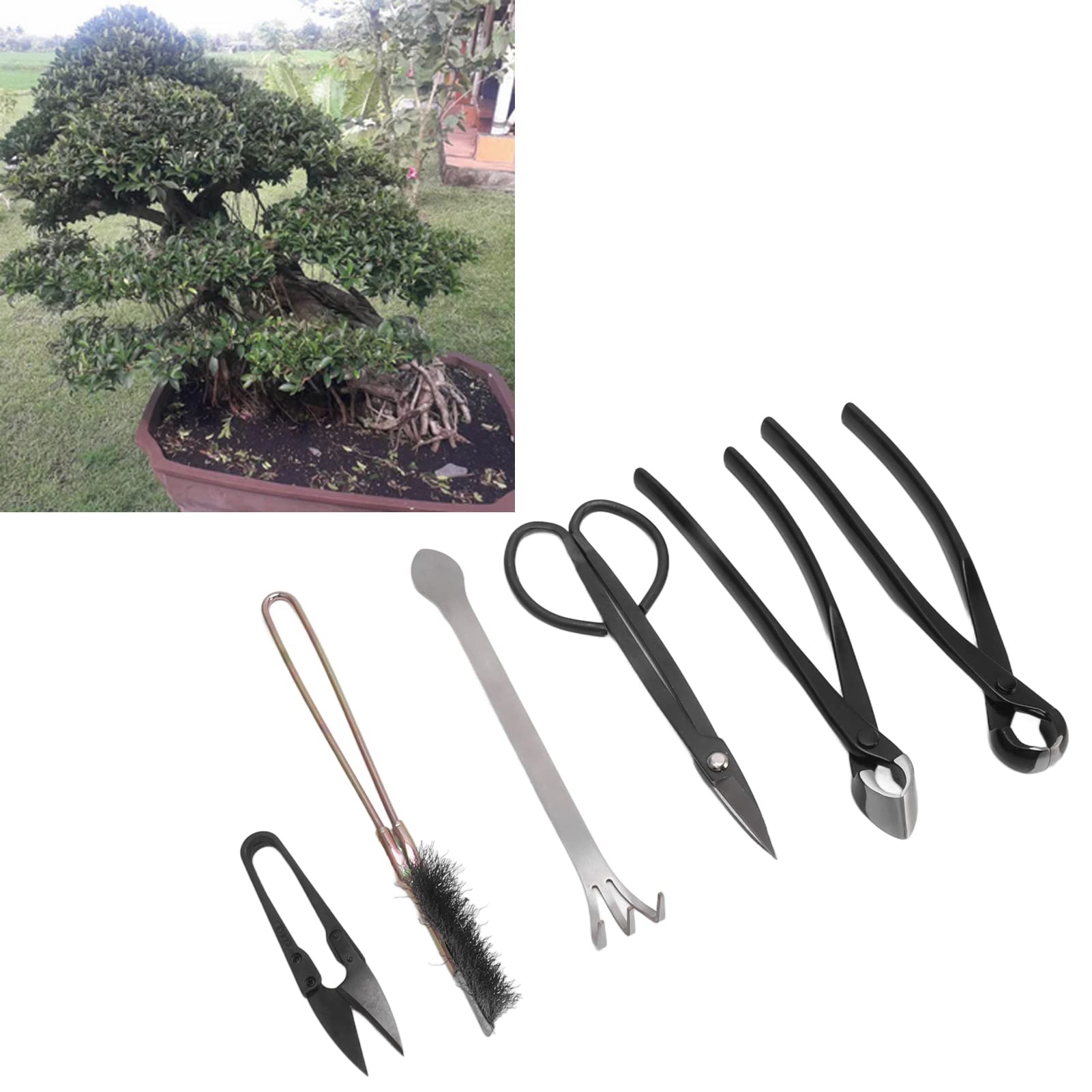 6 szt. Zestaw Narzędzi do Sukulentów ze Stali Nierdzewnej Soczyste Ogrodnictwo Narzędzia Ręczne Bonsai Zestaw Narzędzi do Domu Ogród Yard Kwiat Ogrodowy Rośliny Przesadzanie Dostaw