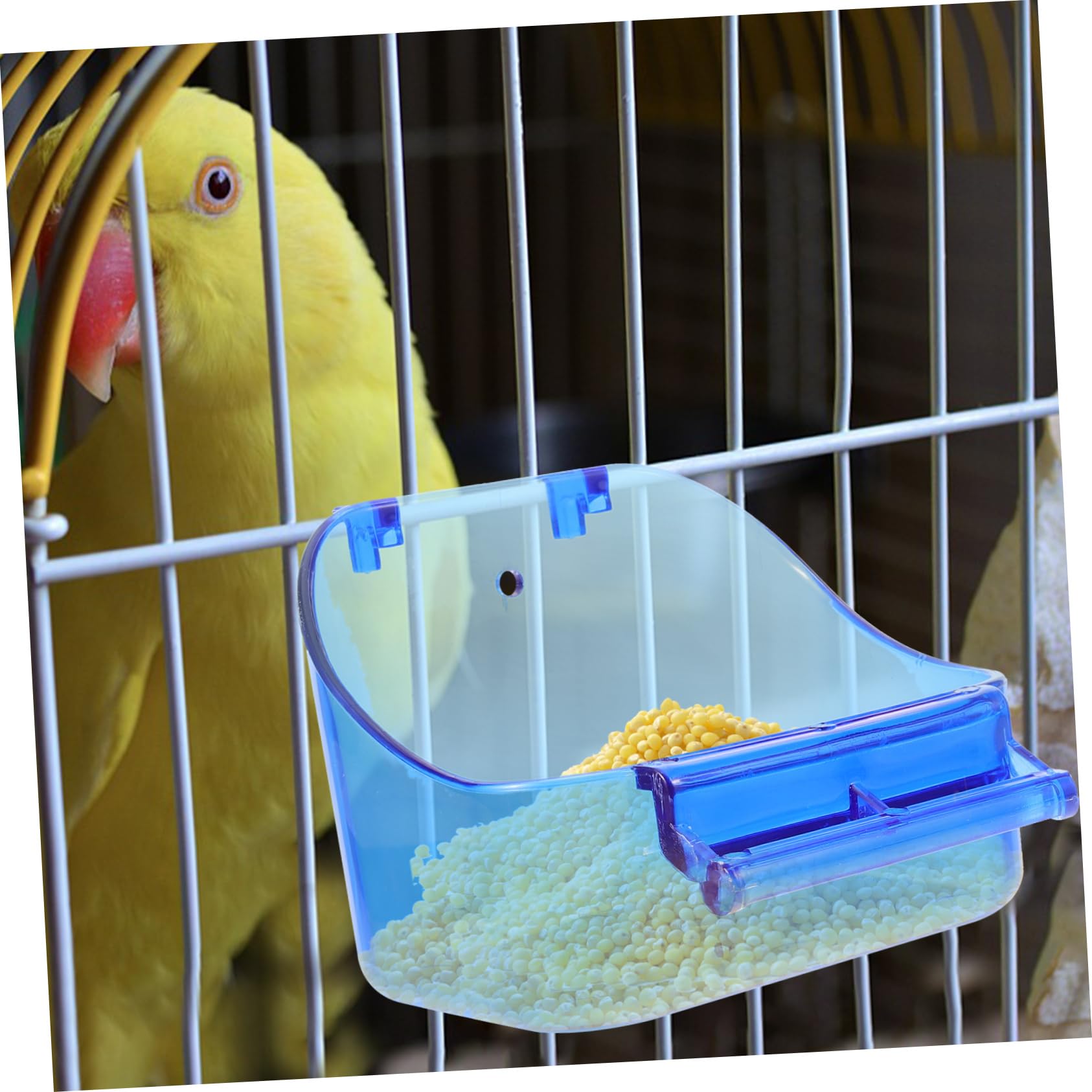 BESPORTBLE 5pezzi Box Per Uccelli Con Vasca Da Bagno Per Pappagalli Accessorio Per Culla Facile Da Installare Materiale Stabile e Sicuro Per Pappagalli e Parrocchetti
