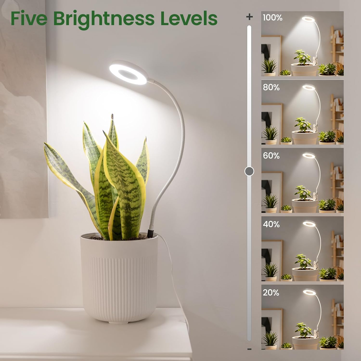 LORDEM Clip on Grow Lights for Indoor Plants, Full Spectrum LED Plant Lamp with Auto On Off Timer (6/8/12/16H) & 5 Dimmable Levels, Adjustable Gooseneck, 3 Light Modes for Small Plants, 2 Pack White
