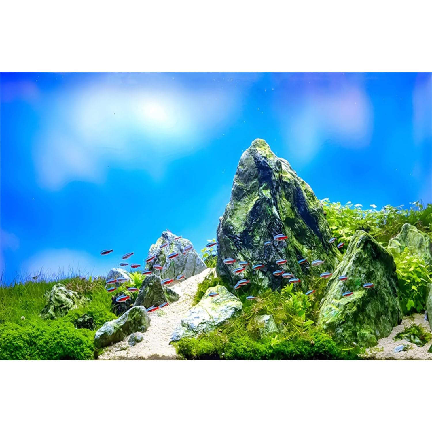 MIRRORANG 61x41cm Aquarium Background Aquatic Plant Stones Blue Sky Aquarium Underwater Background River Bed & Lake Fish Tank Background — image 1