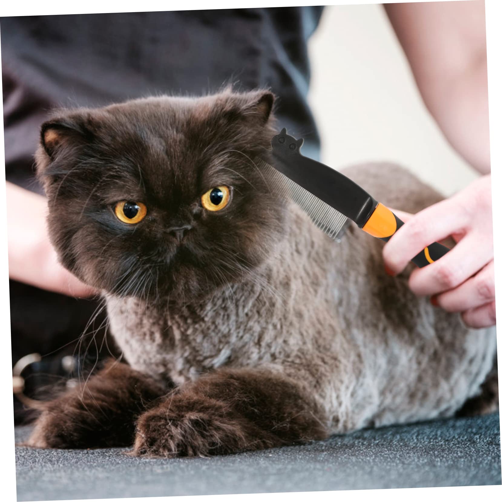 VANZACK 3pezzi Pettine Per Cani e Gatti Con Denti Rotondi Pettine Per Rimozione Pelo Animali Domestici Accessorio Per Toelettatura Inossidabile Design Antiscivolo Per Massaggio e Del Pelo