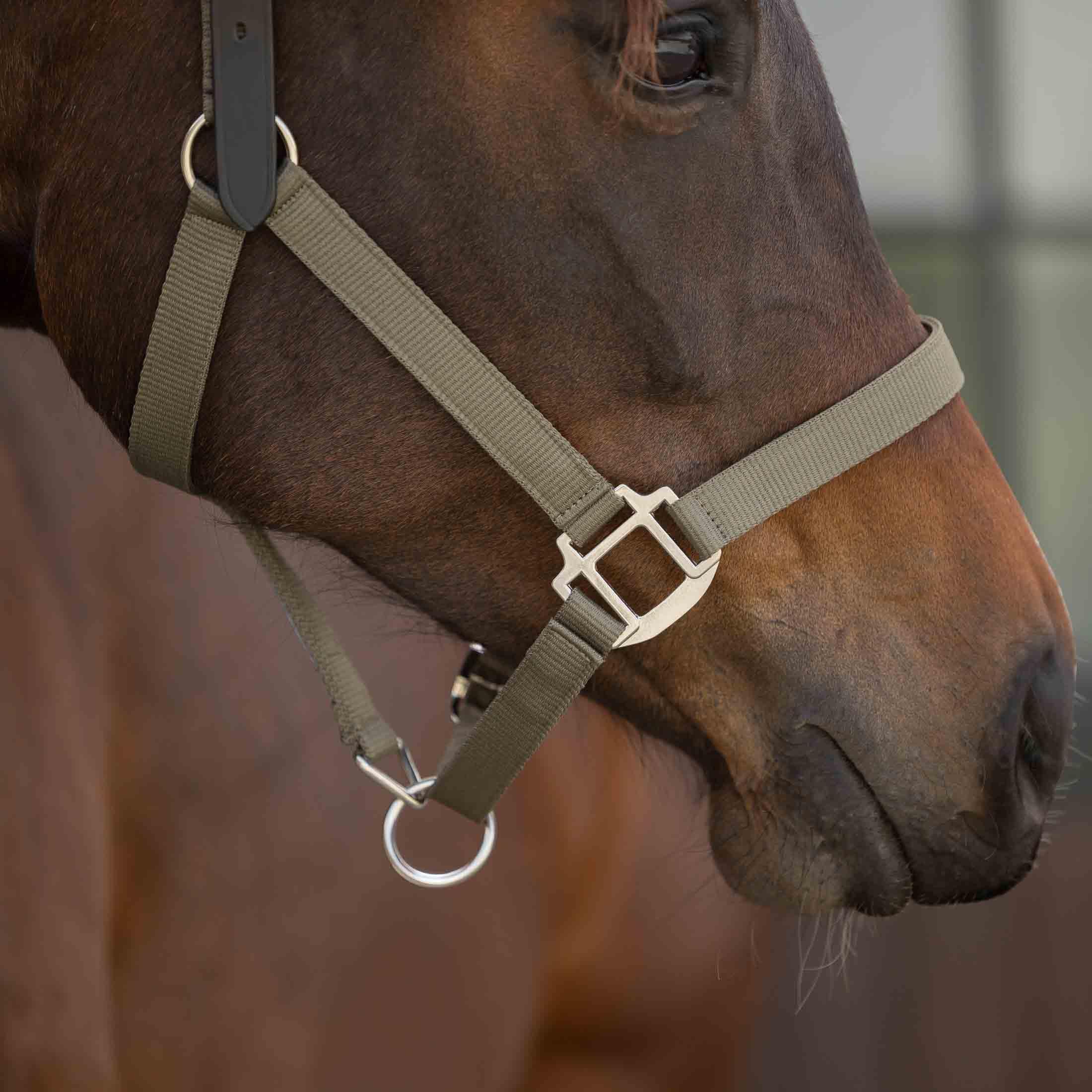 Equinavia Loki - Cabestro ajustable para caballo, color verde oliva claro, mazorca