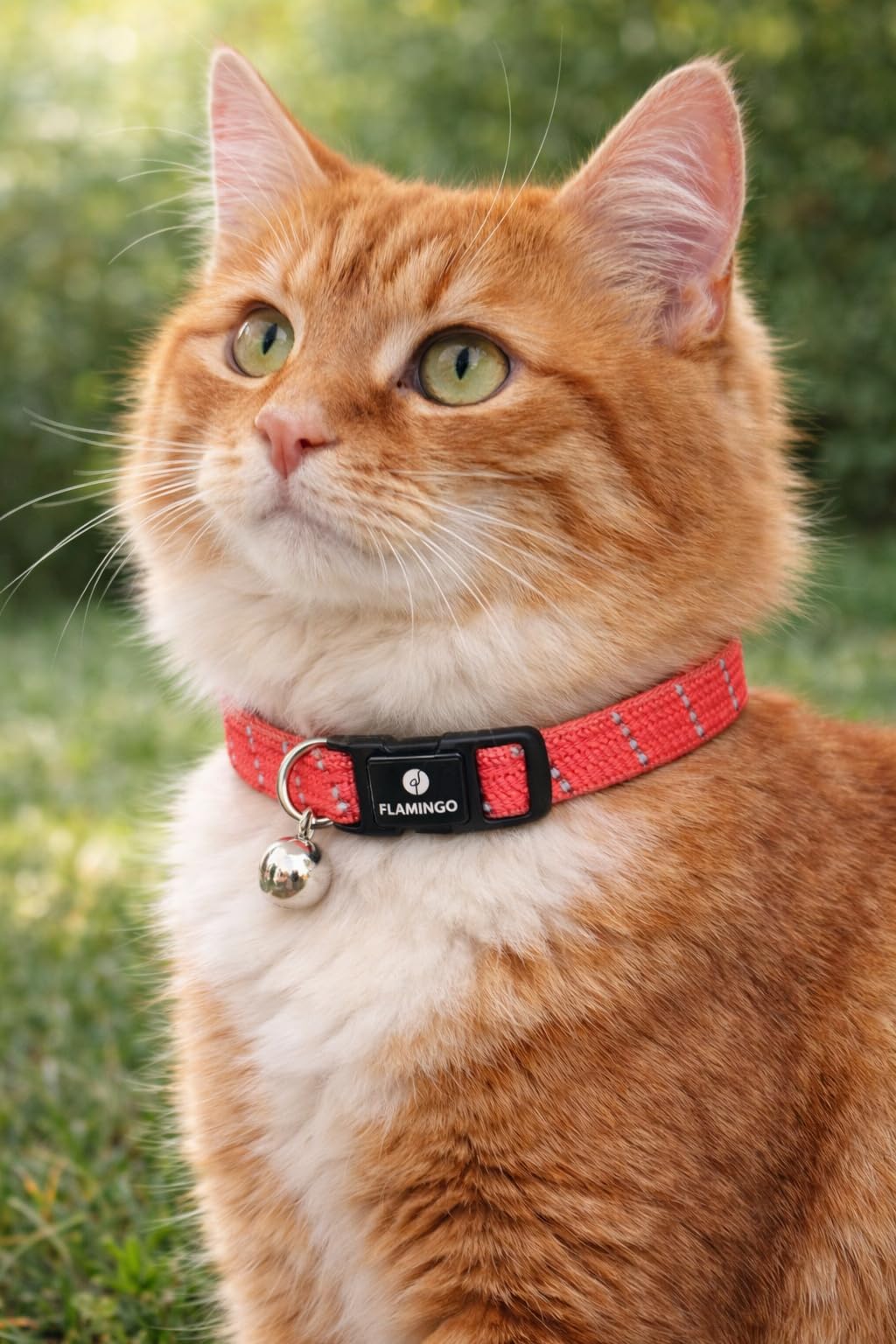 cat collar - Elza coral red 20–34 cm – elastic nylon reflective with bell