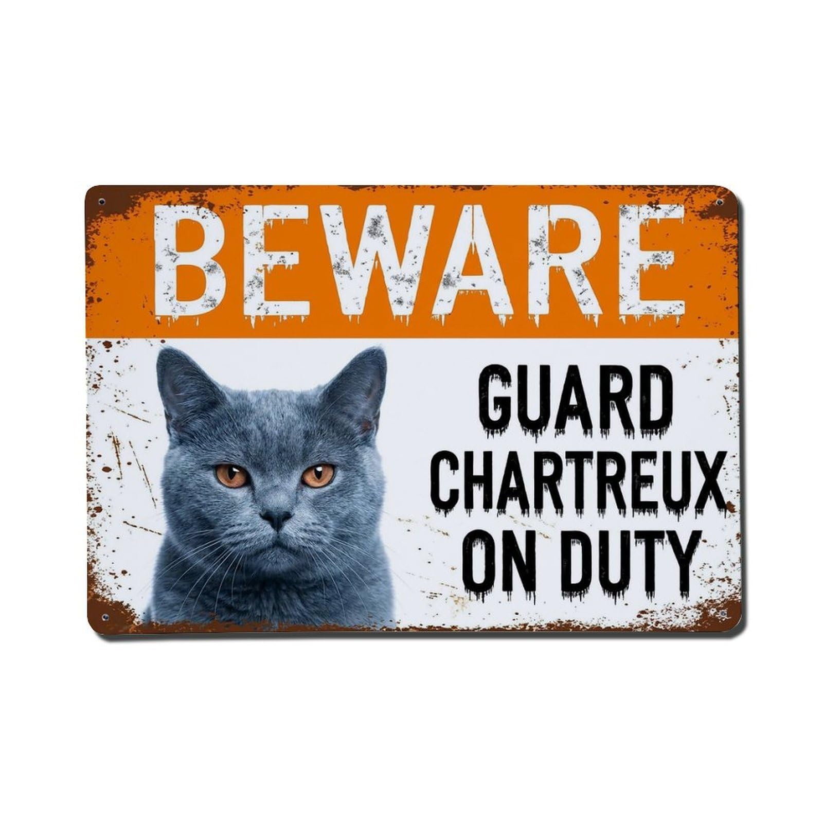 Vintage Funny Chartreux Guard Beware of Cat Driveway Metal Tin Sign Plaque Wall Decor for Cafe, Club Bar, Office, Garden Metal Poster 8x12Inch