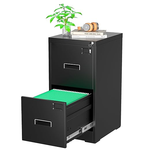 Greenvelly 18” D File Cabinet, 2 Drawer Vertical File Cabinet with Lock, Locking Filing Cabinet for Home Office, Black Metal File Cabinet for Hanging Letter/Legal Folders, Easy Assemble