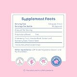 JoySpring Potty Wise Drops – Natural Constipation Relief for Kids & Toddlers – Elderberry, Licorice Root Extract, Fennel Seed & Senna – Sugar-Free Vegan Liquid Blend Supplement (1 fl oz) 30 Servings