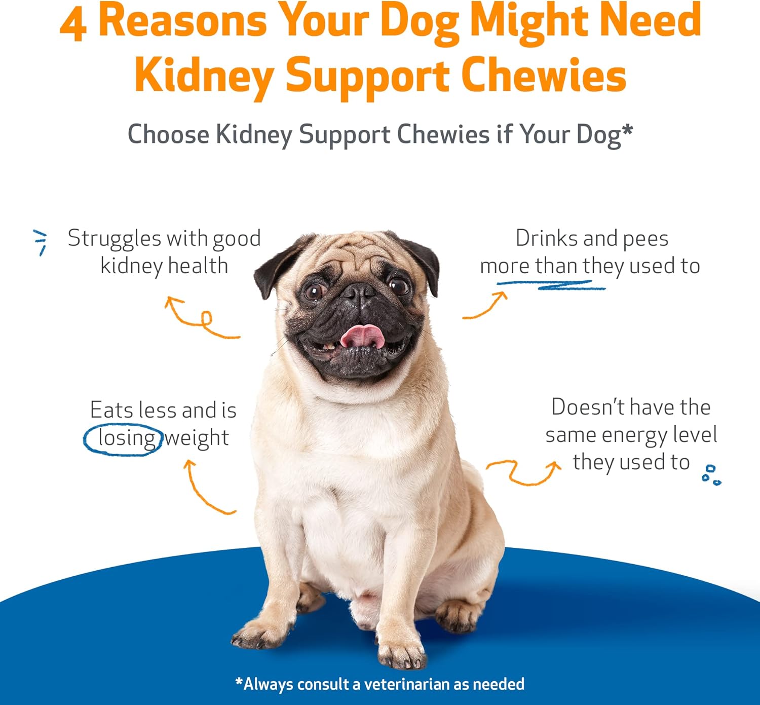 Pet Wellbeing Kidney Support Chewies for Dogs - Vet-Formulated - Supports Healthy & Stable Kidney (Renal) Function, Normal Fluid Balance & Energy Levels, Rehmannia, Astragalus - 90 Soft Chews