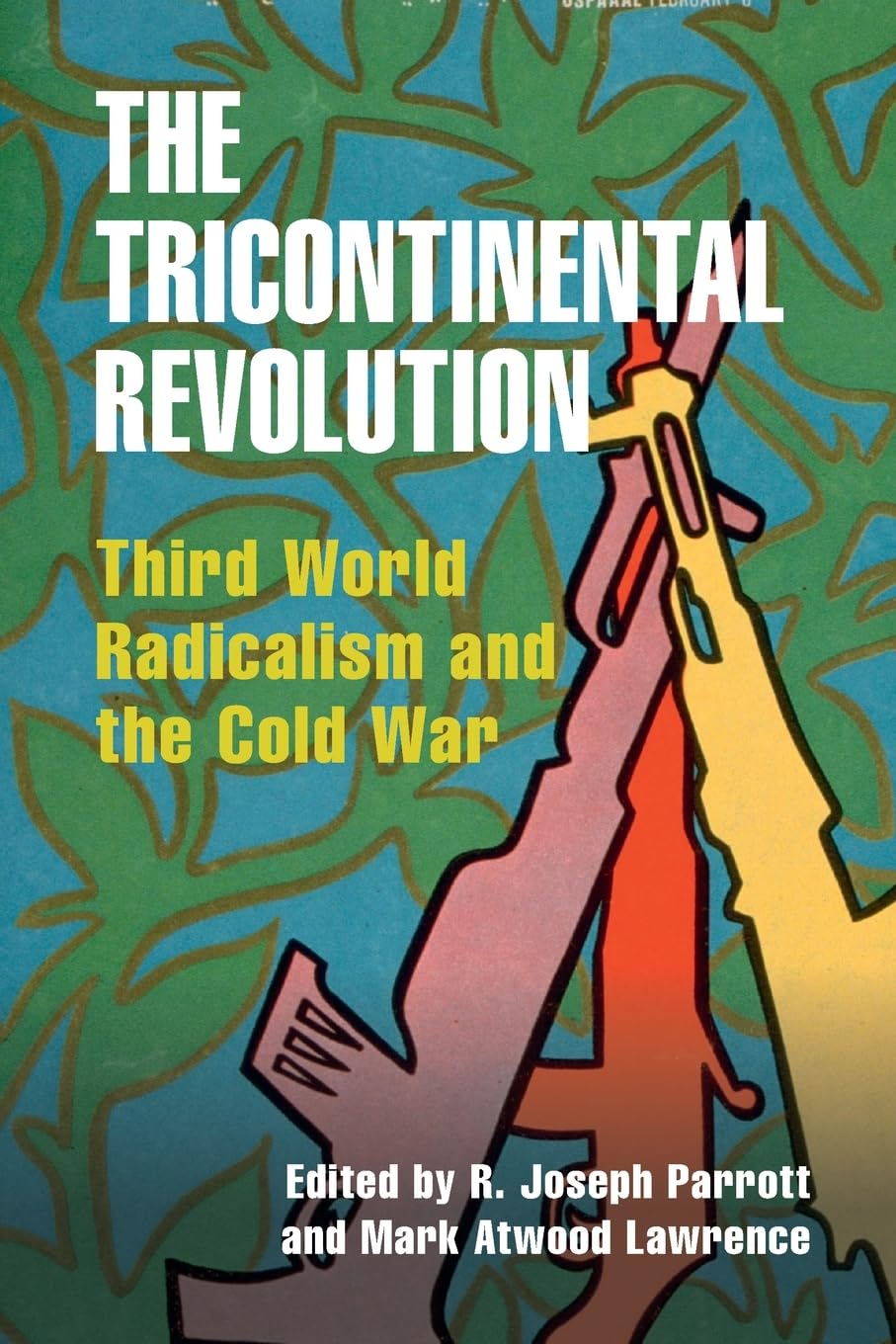The Tricontinental Revolution: Third World Radicalism and the Cold War (Cambridge Studies in US Foreign Relations)