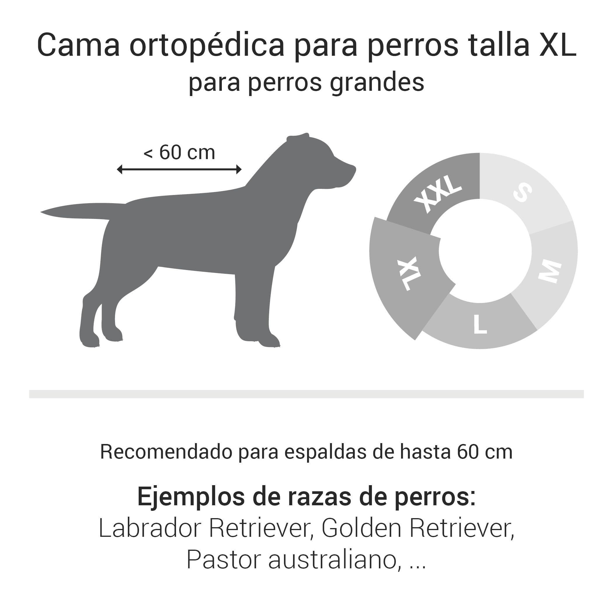 Doctor Bark Cuna Perro, Cama ortopédica, lavable hasta 95 °C, sin olor e higiénica, acogedora decoración para perros grandes (XL - 100 x 90 cm, gris)