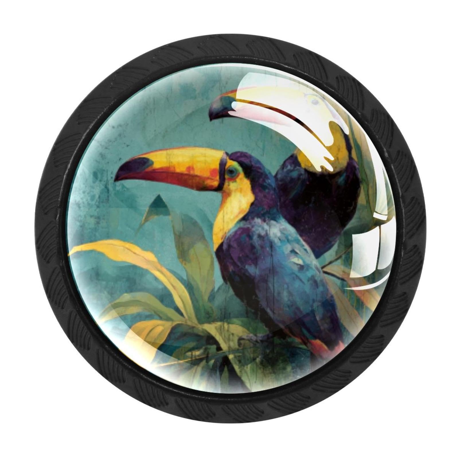 CHENZZZZ 4 Pack Round Cabinet Knobs for Kitchen Bathroom Closet Dresser Cabinets, Birds Tropical Toucans (1)