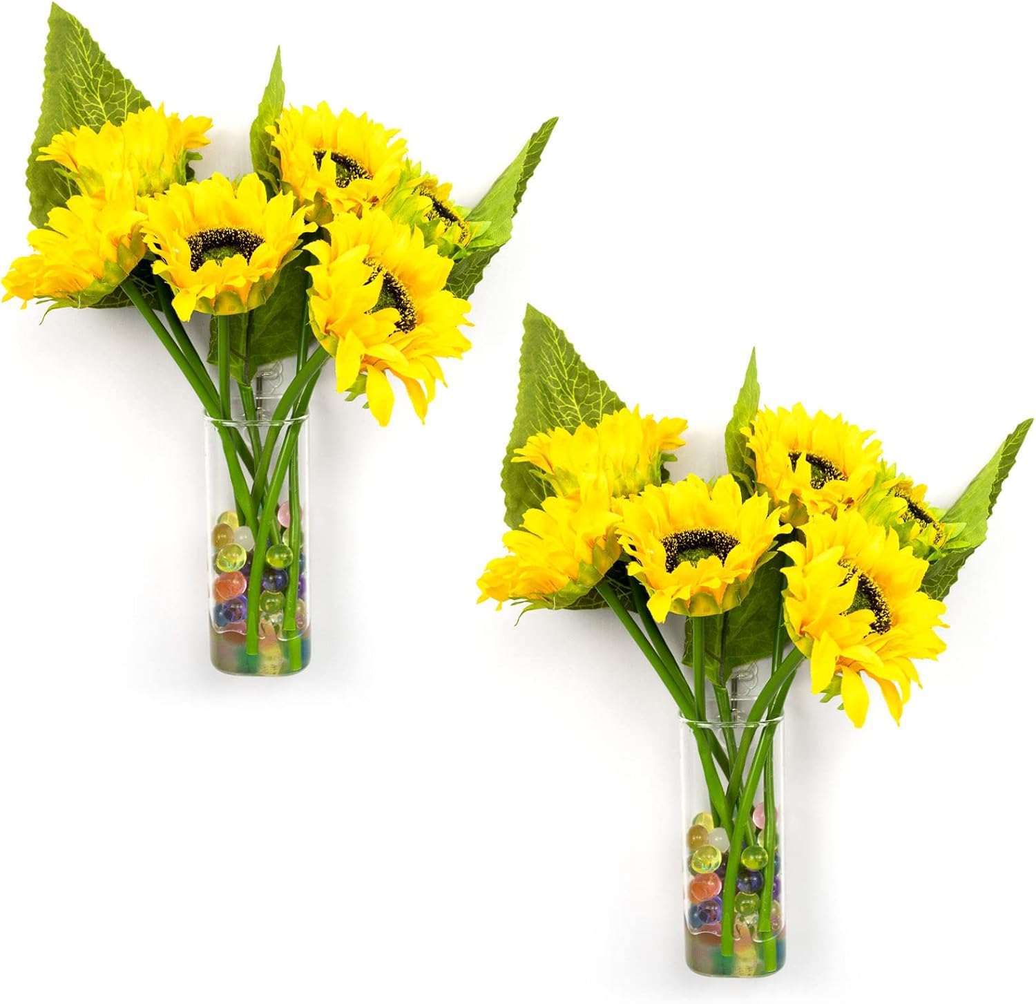 Buy HVEST Glass Planter Wall Hanging,Glass Vase for Hydroponics Plants