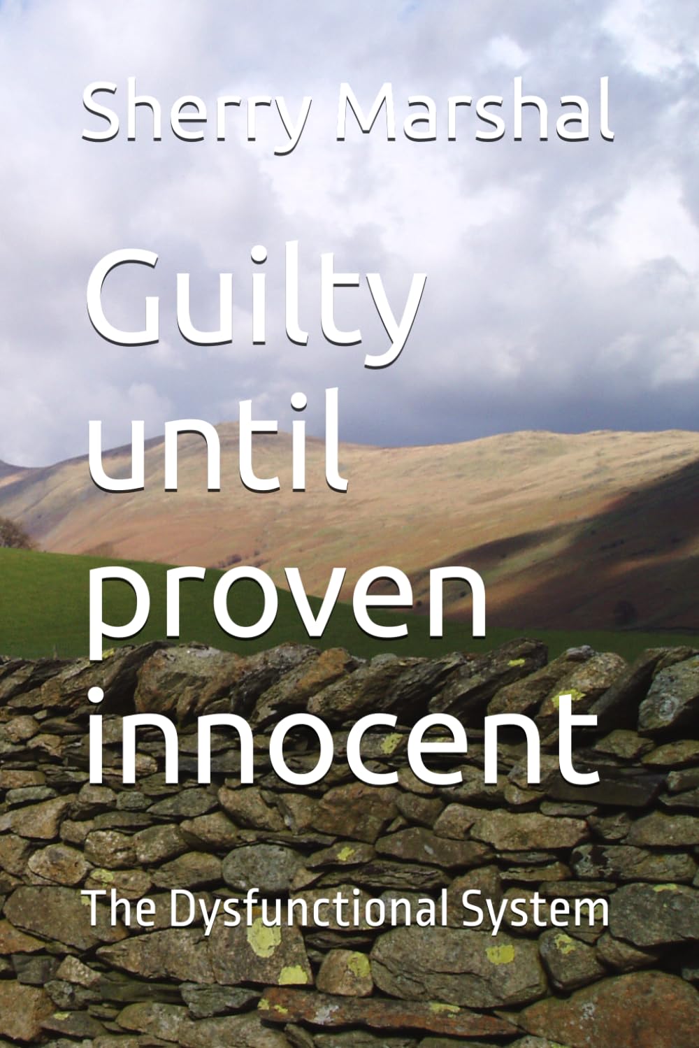 Guilty until proven innocent: The Dysfunctional System