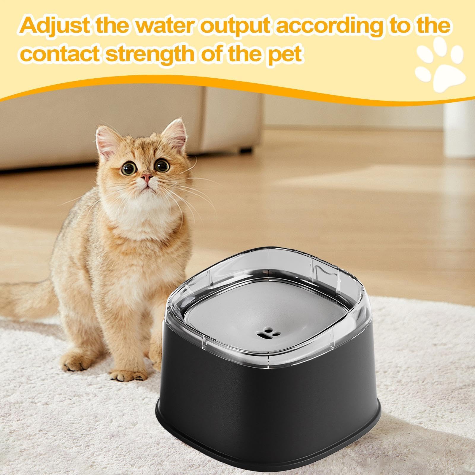 Gamelle d'Eau Anti-Débordement pour Chien Avec Disque Flottant Antidérapant | Gamelle d'Eau Anti-Éclaboussures pour Chien pour Intérieur Extérieur Maison