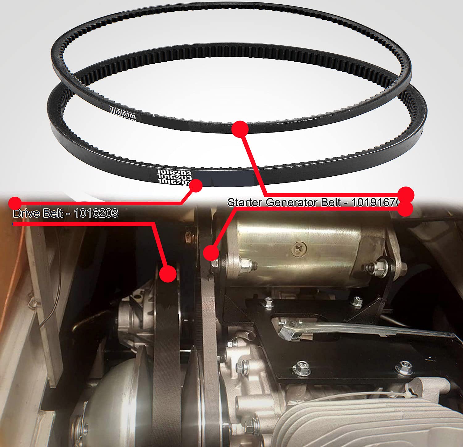 Club Car Starter Generator Belt and Drive Belt Kit for DS,Precedent Replace OEM#101916701 1016203