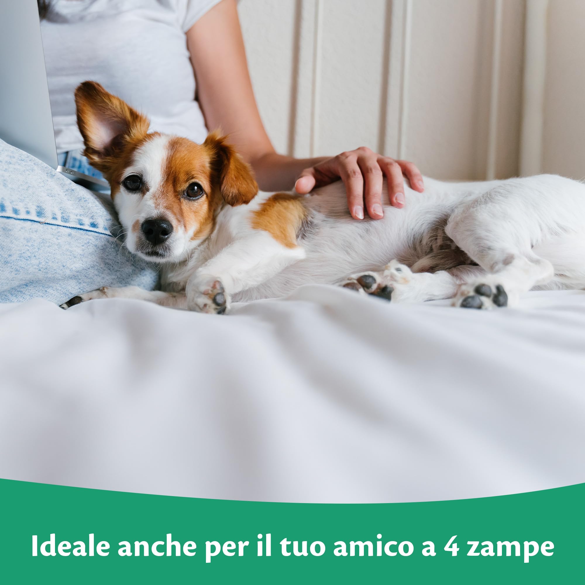 Traversa Letto Impermeabile Coprimaterasso 75x90 cm Cerata in Cotone Protezione Incontinenza Proteggi Materasso Culla Adatto per Anziani Bambini Neonati Adulti Animali Traspirante Lavabile