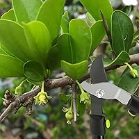Vista 6 de Lopper de derivación de jardín de 28 pulgadas con hoja de acero, cortador de ramas para recortar árboles para capacidad de corte de 1.5 pulgadas