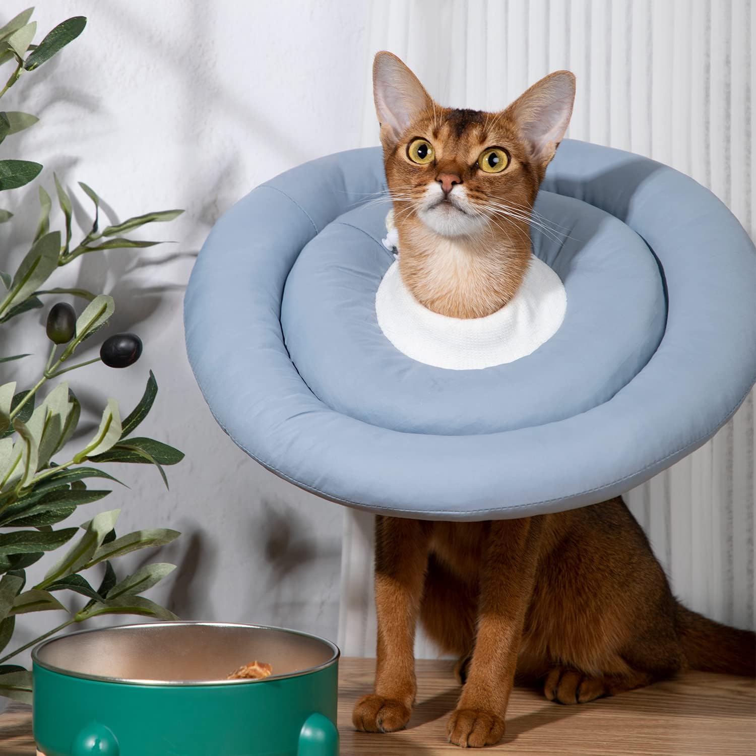 Comfortable Adjustable Soft Dog Cone Alternative After Surgery - Elizabethan Donut Collar for Cats, Medium Dogs and Small Dogs