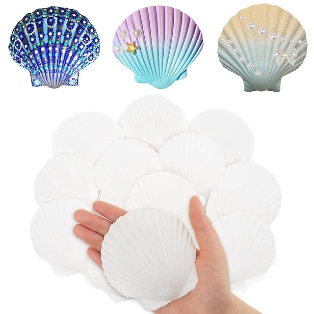 YOYEAH 20 Piezas Conchas Vieiras Naturales (7-8cm) con Agujero para Manualidades